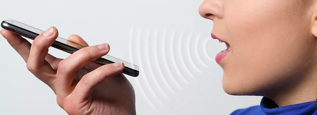 Residential and Commercial Voice Recognition Access Solutions in North Lauderdale, FL